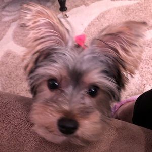 Meet your Posher, Katelyn